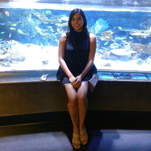 Hello 😄🐶❤️🐶 - Picture 3 of 11